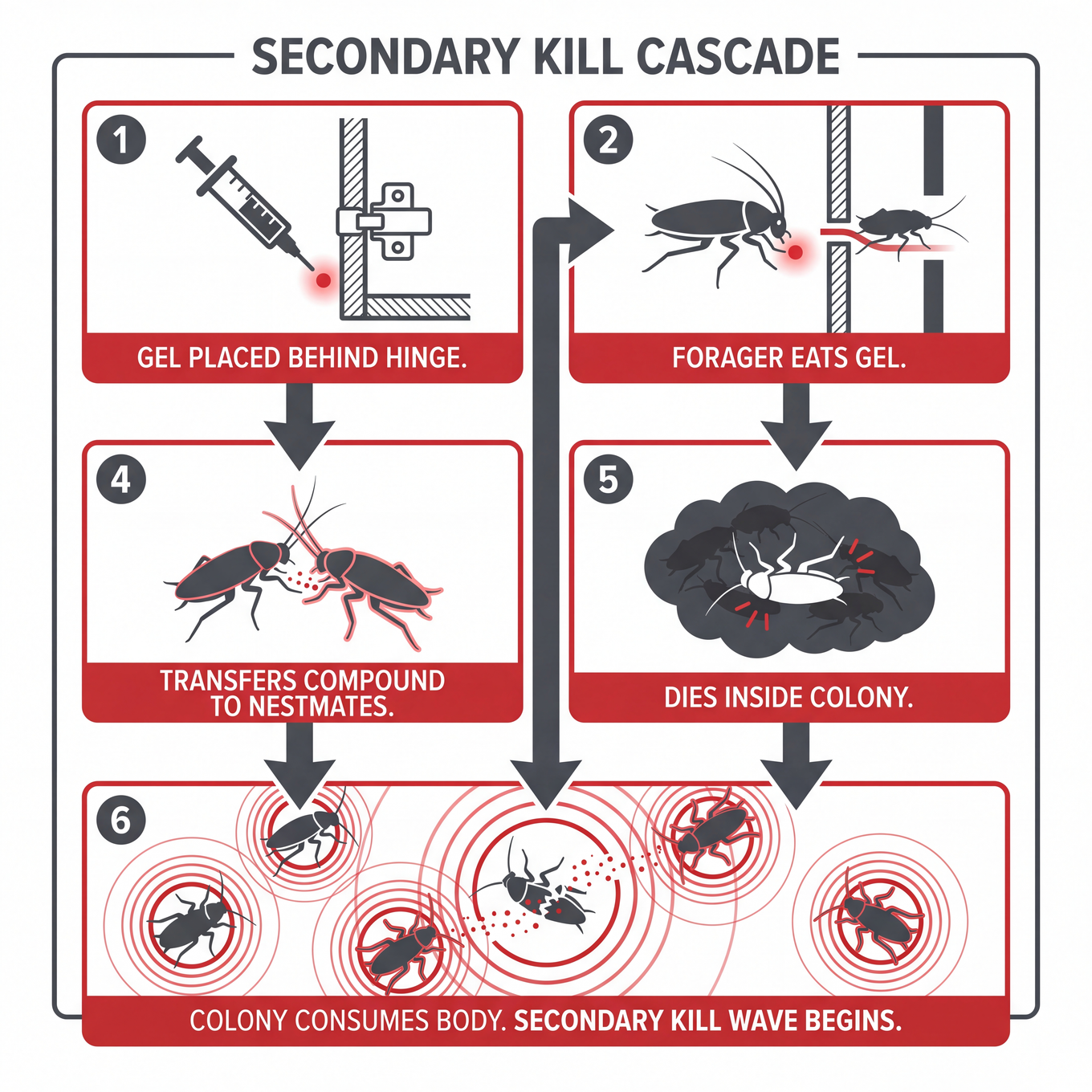 Secondary kill cascade diagram