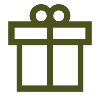 Mystery Gift