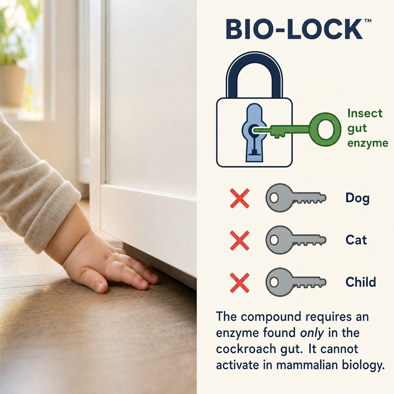 Bio-activation safety diagram